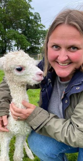 {{brizy_dc_image_alt imageSrc=