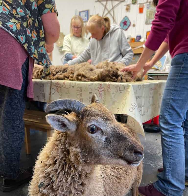 {{brizy_dc_image_alt imageSrc=